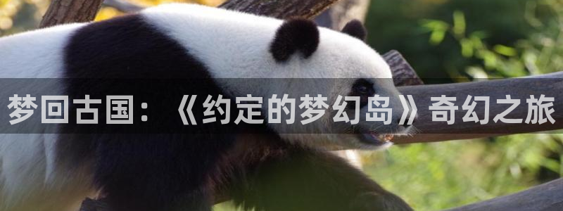 香蕉文化漫画书下拉：梦回古国：《约定的梦幻岛》奇幻之旅