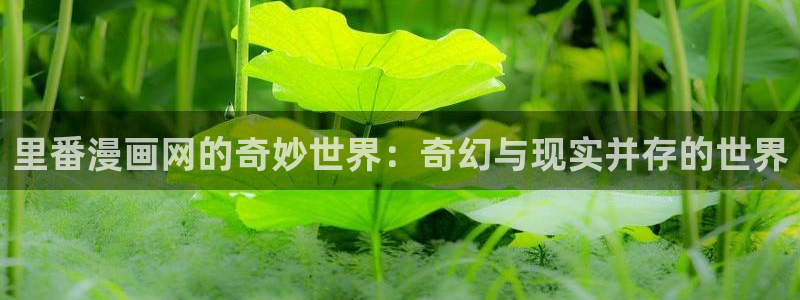 香蕉漫画无遮挡：里番漫画网的奇妙世界：奇幻与现实并存的世界
