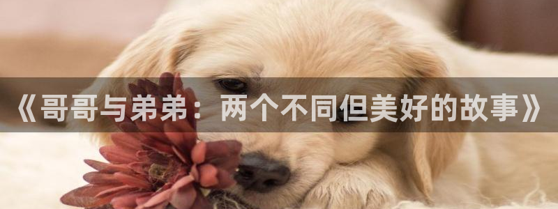 香蕉文化免费下拉式漫画书：《哥哥与弟弟：两个不同但美好的故事》